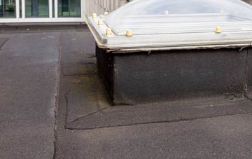 disadvantages of Moss Side Of Monellie flat roofs