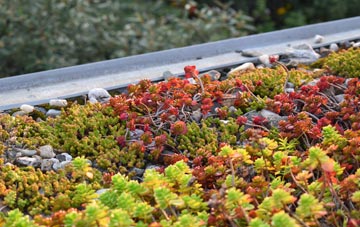 the cost of Moss Side Of Monellie green roof installation