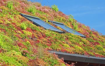 Moss Side Of Monellie living roof systems