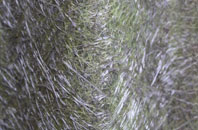 Moss Side Of Monellie fibreglass roof work